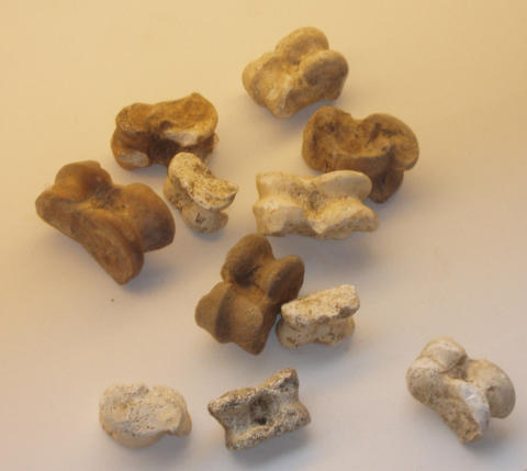 Bikkels uit Cambodunum/Kempten (Allgäu) - foto: Xocolatl <http://commons.wikimedia.org/wiki/File:Kempten_Astragaloi.jpg>
