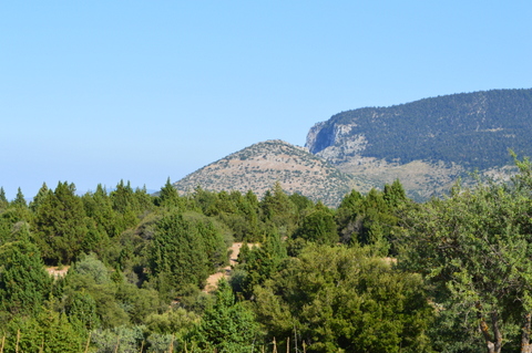 K�stro tis Ori�s seen from the west - Photo: Jaap-Jan Flinterman, summer 2015