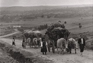 Constantine Manos, Greek Peasants (1964) - photo downloaded from: onlyhdwallpapers.com