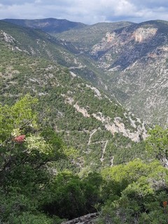 Muletrack to the top of �yios Athan�sios hill - Photo: Jaap-Jan Flinterman, September 2022