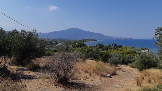 The coast of North Kynouria from Nis� Ay�ou Andr�a - Photo: Jaap-Jan Flinterman, summer 2024