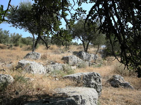 Nis� Ay�ou Andr�a, 'inner wall' - Photo: Jaap-Jan Flinterman, summer 2008