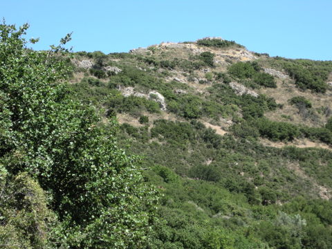 The south-east side of Teichi� - Photo: Jaap-Jan Flinterman, summer 2010