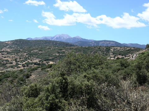 View from Ellenik� looking south-west - Photo: Jaap-Jan Flinterman, summer 2010