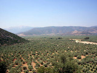 The lower Vrasi�tis river - Photo: Jaap-Jan Flinterman, summer 2010