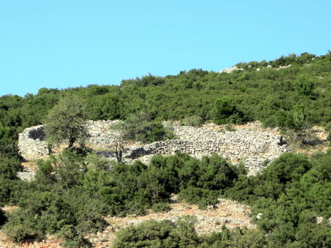 Sheepfold on the Pali�chora plateau - Photo: Jaap-Jan Flinterman, summer 2011