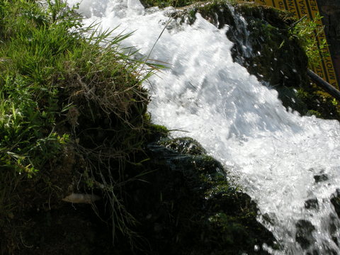 Pl�tanos: the omnipresence of water - Photo: Jaap-Jan Flinterman, summer 2013