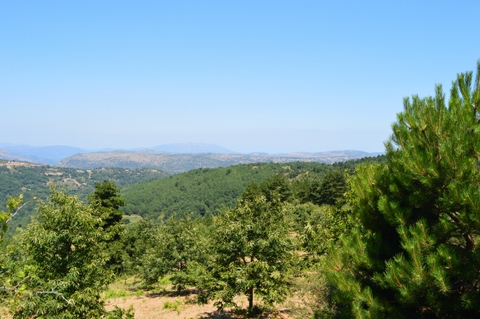 View from the surroundings of �yios P�tros - Photo: Jaap-Jan Flinterman, summer 2015